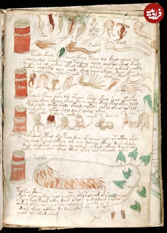 سرگذشت «مرموزترین کتاب جهان» که هیچ‌کس نمی‌داند دربارۀ چیست