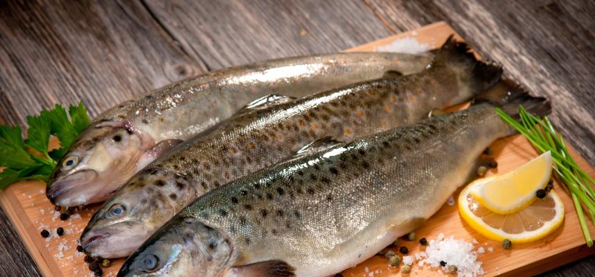 طرز تهیه ماهی شکم پر مجلسی و نکاتی برای خوشمزه تر شدن آن / منتشر نشود طرز تهیه ماهی شکم پر مجلسی و نکاتی برای خوشمزه تر شدن آن / منتشر نشود