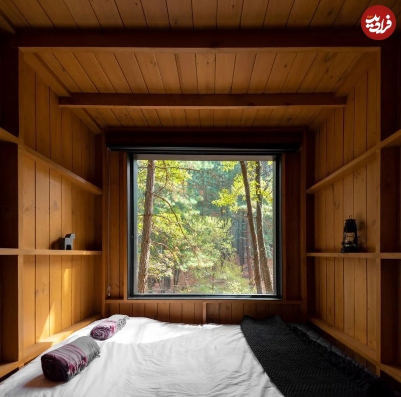 (تصاویر) وقتی معماری تجربۀ زندگی در جنگل را تغییر می‌دهد