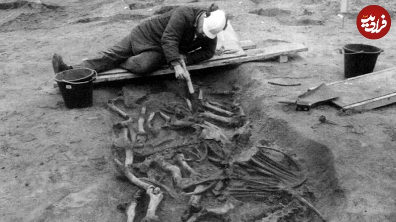 گورستانی که راز «اَبَراسب‌های قرون وسطی» را فاش کرد