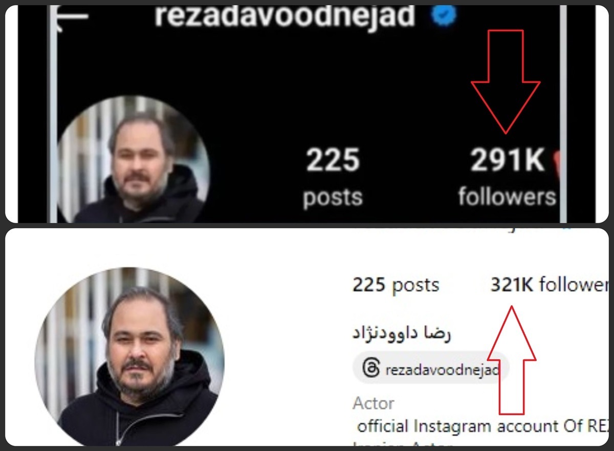 افزایش انفجاری فالور‌های صفحه اینستاگرام زنده یاد رضا داوودنژاد؛ مرده پرستی یا سوگ دسته جمعی؟