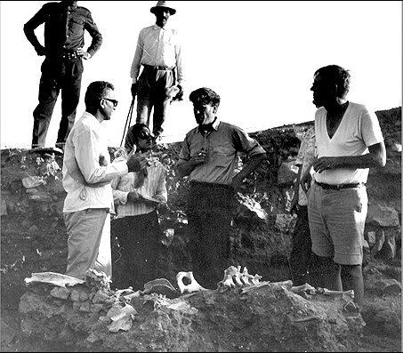 تپه‌های قیطریه؛ کشفی که برج‌های تهران آن را بلعید!