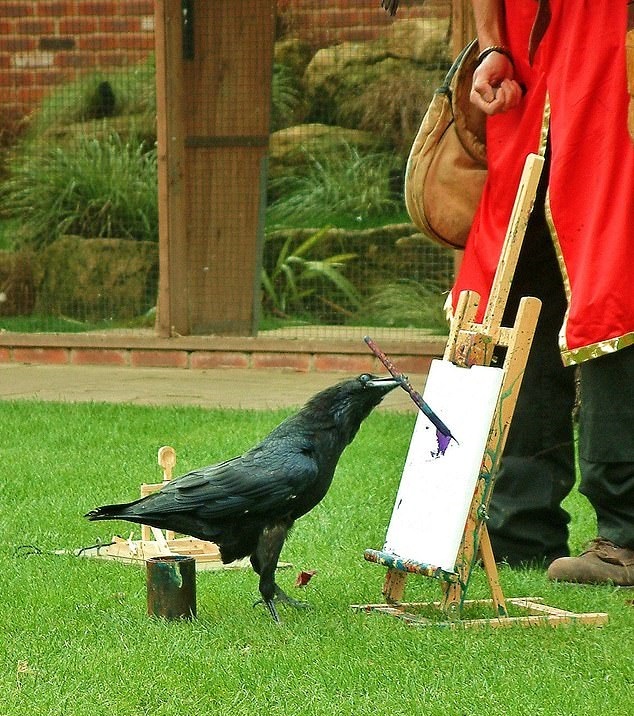 چند حقیقت شگفت انگیز درباره هوش حیوانات که نمی‌دانستید