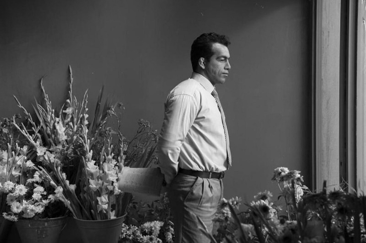 به بهانه اکران فیلم پرویزخان به این موضوع پرداخته‌ایم که چرا اغلب فیلم‌های ورزشی موفق نیستند؟