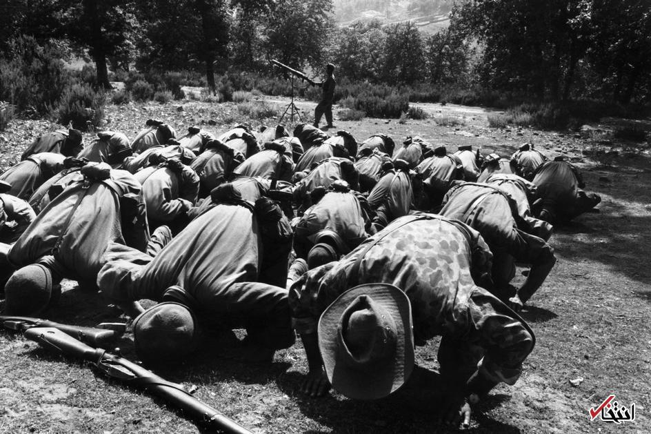 ۱۳۳۶؛ نیرو‌های ارتش آزادی بخش الجزایر