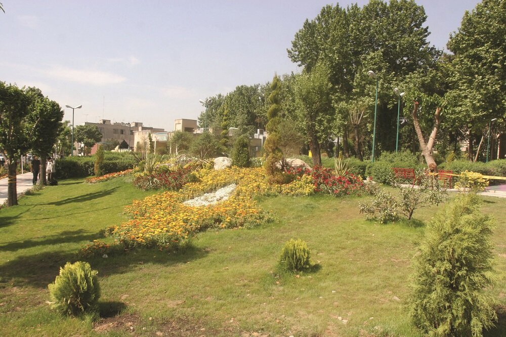 سلطان سلجوقی چگونه در طرشت زمین‌گیر شد؟ | طغرل در تپه سیف ناکام ماند