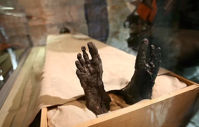 راز «نفرین توت عنخ آمون» که بیش از ۲۰ نفر را کشت سرانجام فاش شد