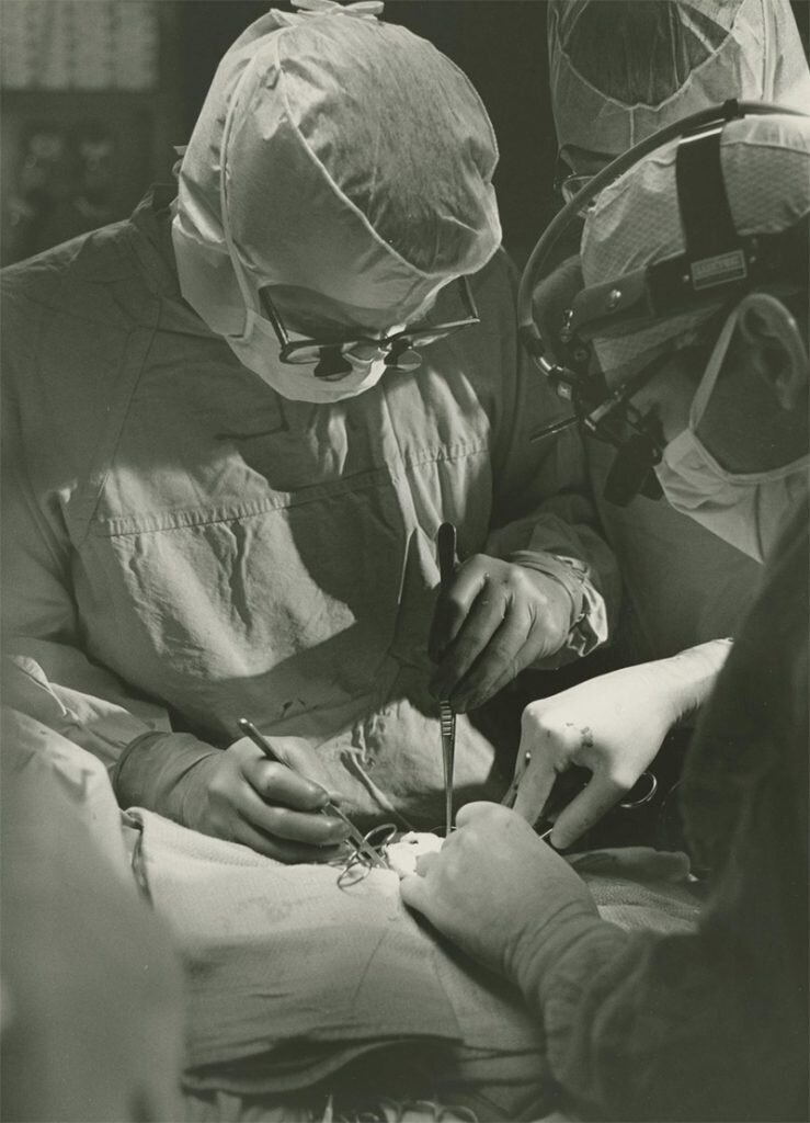 نگاهی به پیوند‌های عضو حیوان به انسان | چرا عمل پیوند کلیه خوک به انسان موفق نبود؟