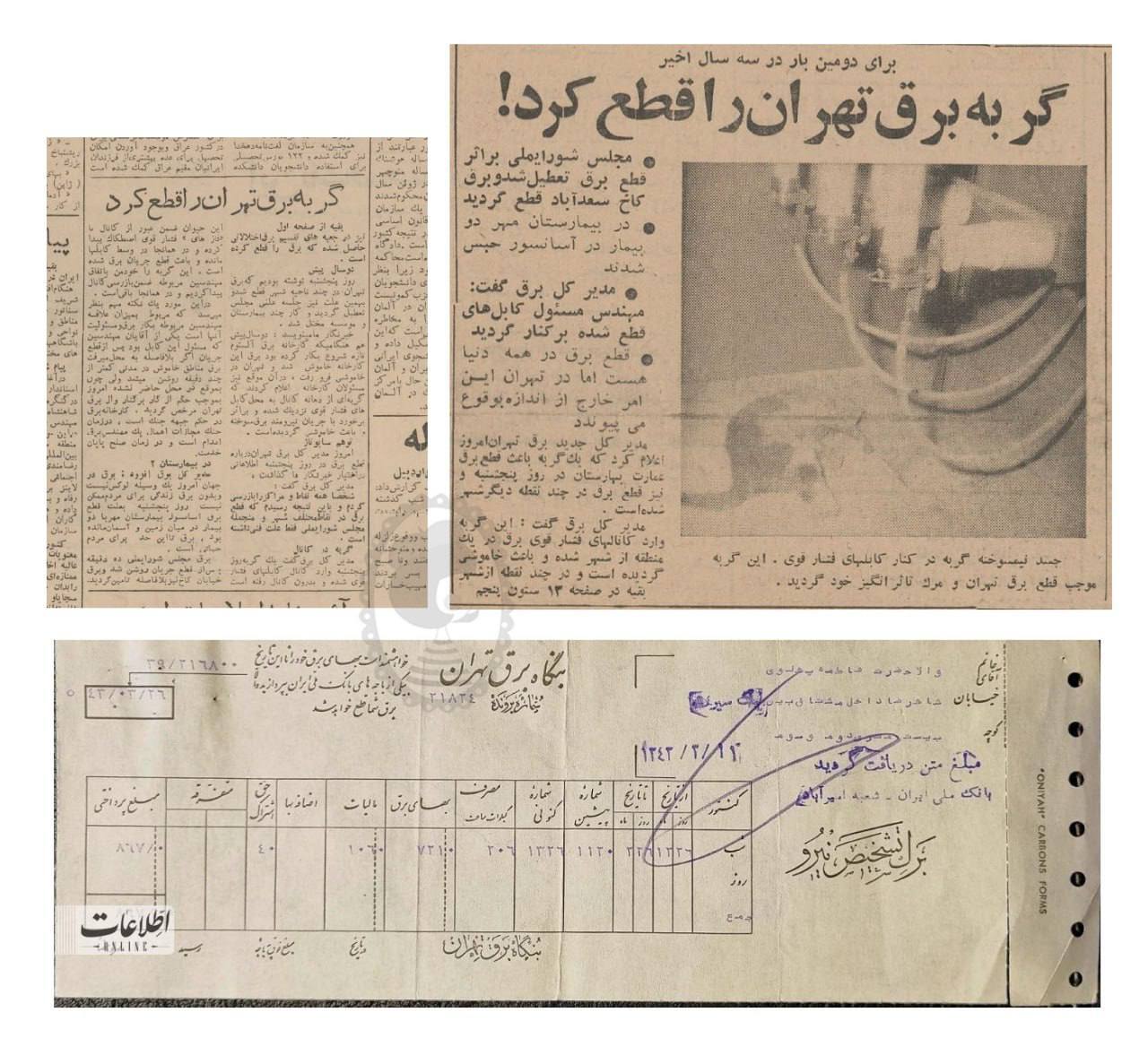 یک گربه برق تهران را قطع کرد