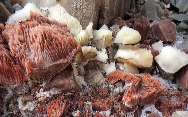 (تصاویر) غار‌های نمکی گرمسار، زیباترین جاذبه گردشگری برای عاشقان طبیعت