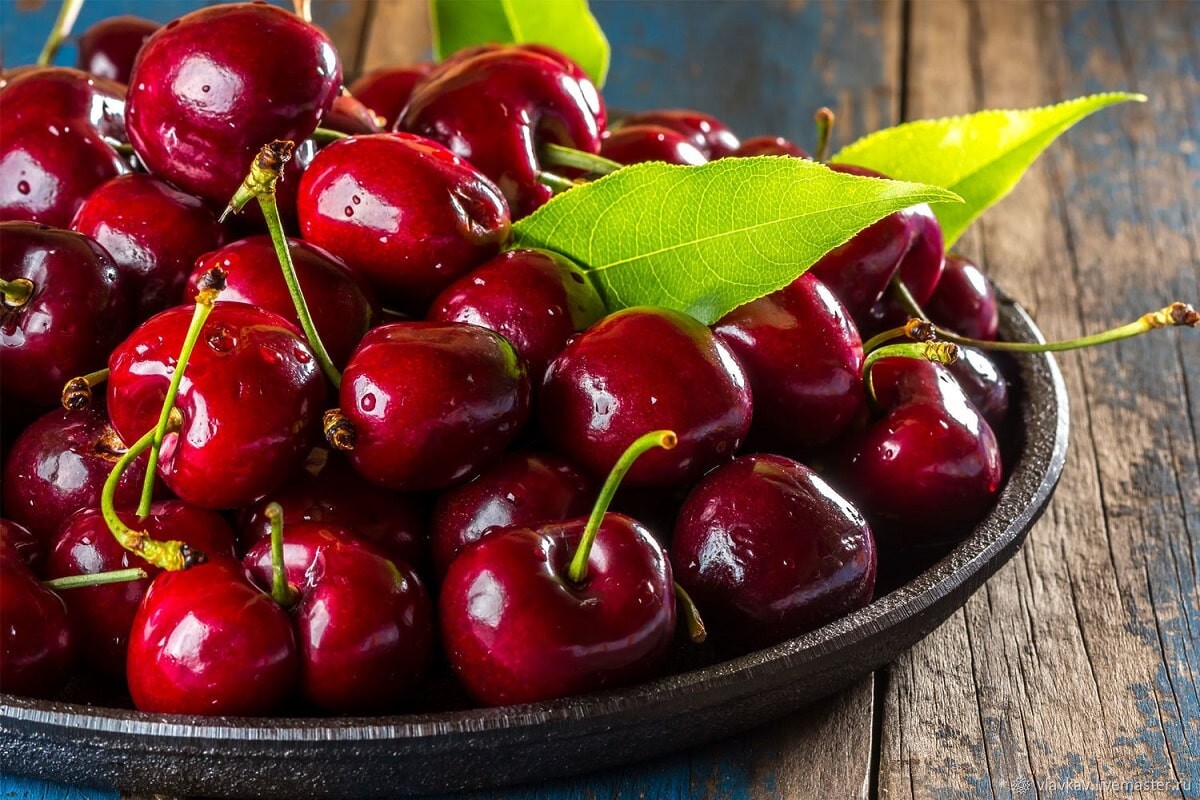 دایره‌المعارف بازار میوه؛ از گیلاس تکدانه تا انگور یاقوتی