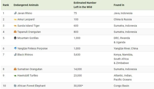 کدام حیوانات جهان بیشتر در معرض خطر انقراض قرار دارند؟ + اینفوگرافیک