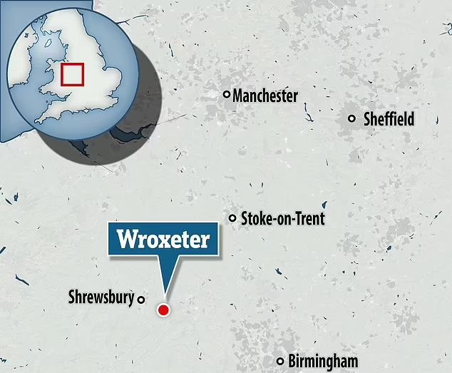 کشف یک موزائیک باستانی به نام «آکواریوم یخ زده در سنگ» با قدمتی ۲ هزار ساله