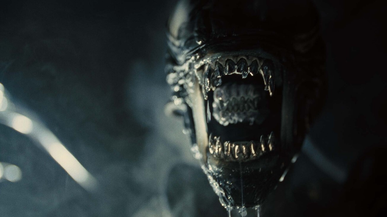 نقد فیلم «بیگانه: رومولوس»؛ بهترین فیلم در مورد موجودات بیگانه در دهه‌های اخیر/ خوانده شد