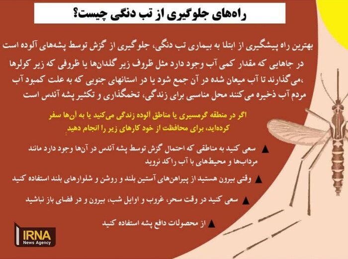 سمنان در امان از بیماری تب دنگی/ رعایت توصیه‌های بهداشتی مورد توجه باشد