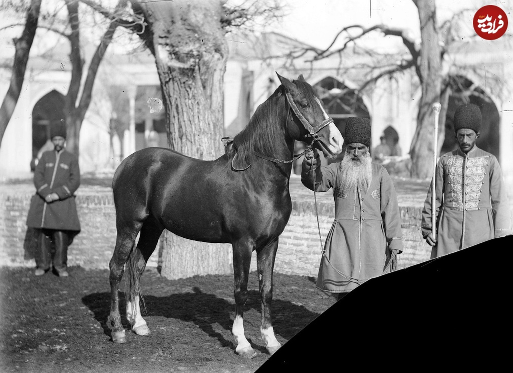 (تصاویر) از «اسب شاه» تا «عوارضی کرج»