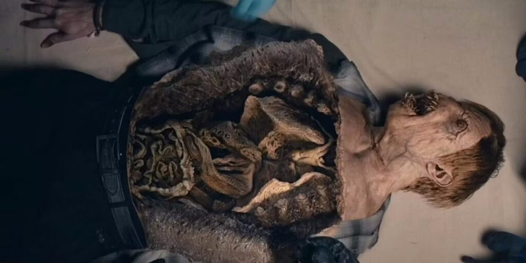 هیولا‌های سریال ترسناک From چه موجوداتی هستند و از ساکنان شهر چه می‌خواهند؟