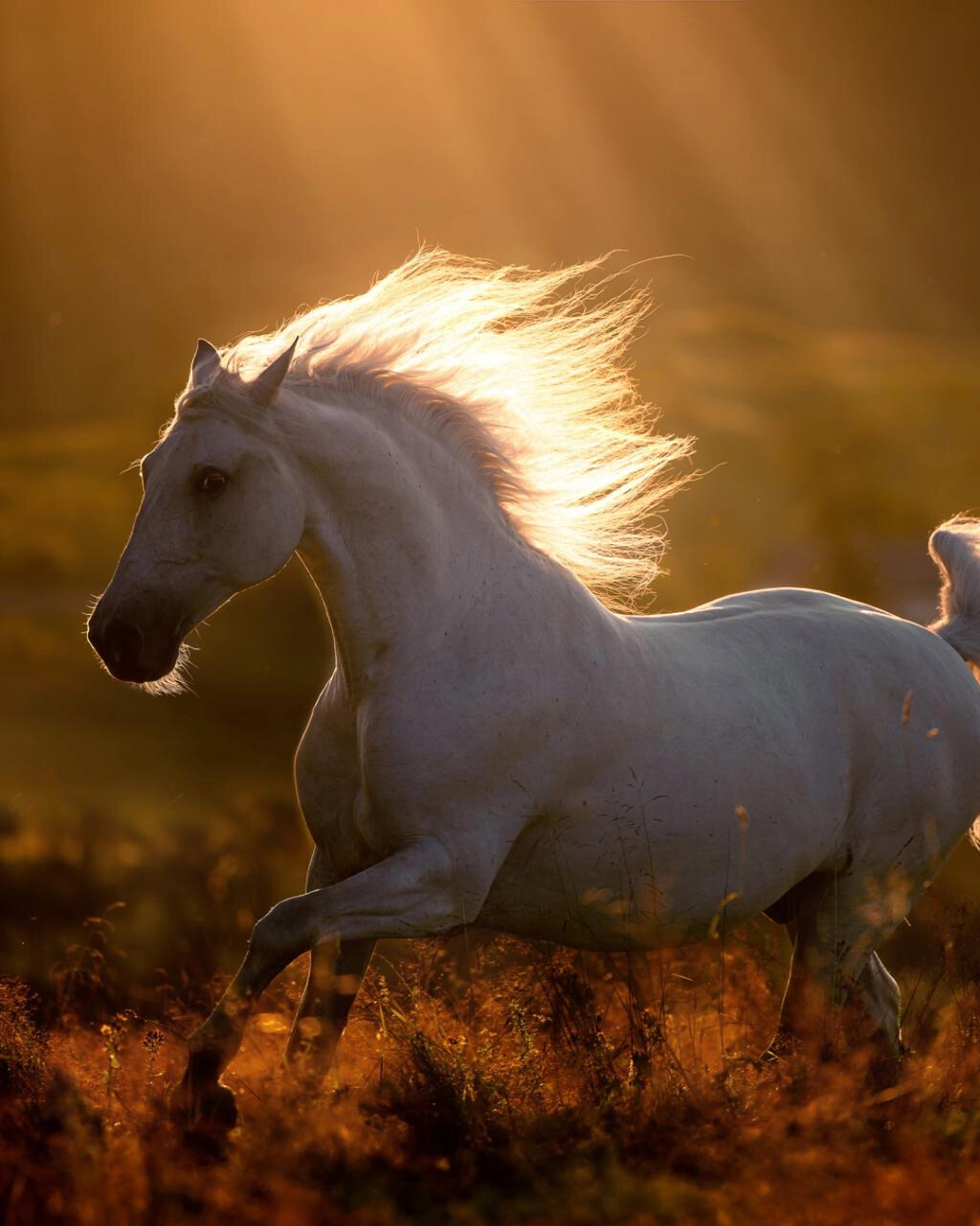 بهترین عکس سال ۲۰۲۳