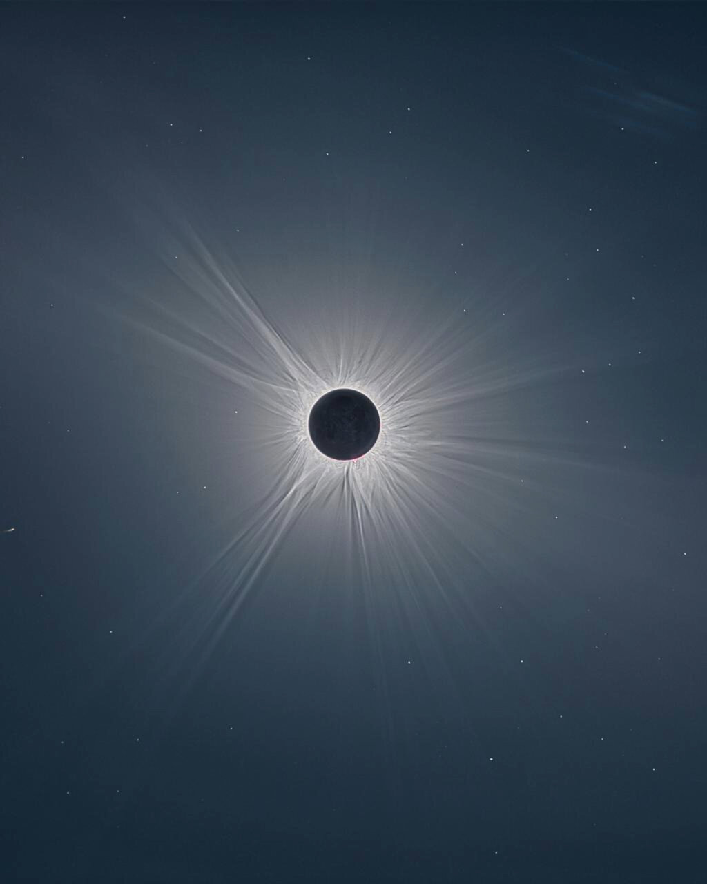 بهترین عکس سال ۲۰۲۳