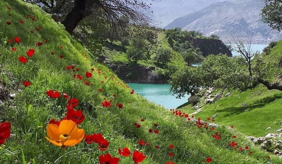 (تصاویر) دشت هلن؛ بهشتی پنهان در دل زاگرس