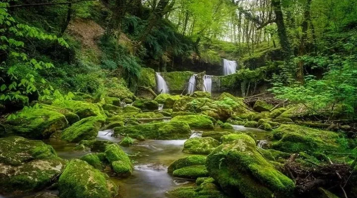 ۳ ساعت رانندگی از تهران تا سوئیس ایران