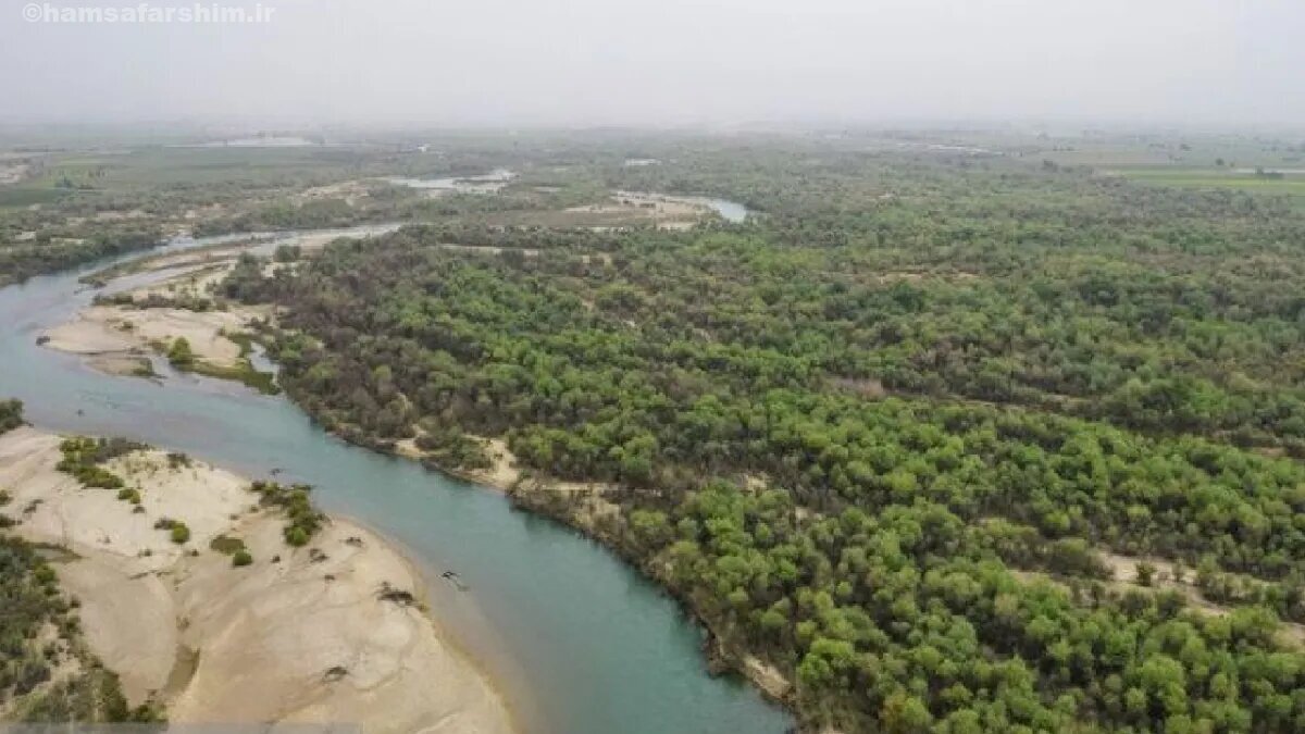 وعده ۶۰ ساله به گوزن‌های زرد خوزستان | فاضلاب کارخانه کاغذسازی زیستگاه گوزن‌های زرد را آلوده کرد