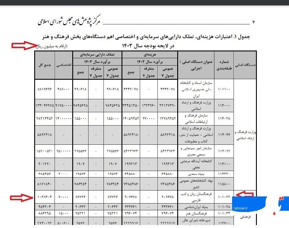 درباره فرهنگستان پیر زبان و ادبیات فارسی؛ بودجه سالانه برای واژه «تصدانه!»
