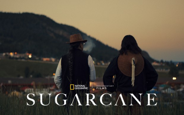 Sugarcane-2024