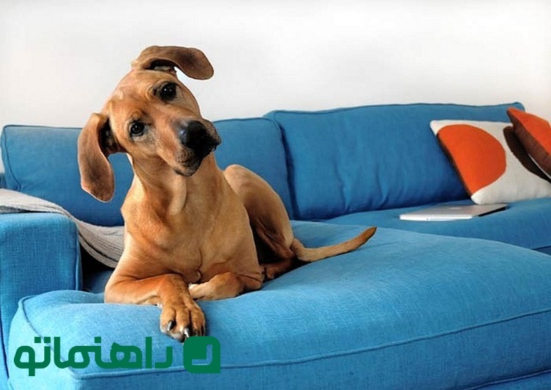 راهنمای جامع برق انداختن انواع مبلمان با روش‌های ساده
