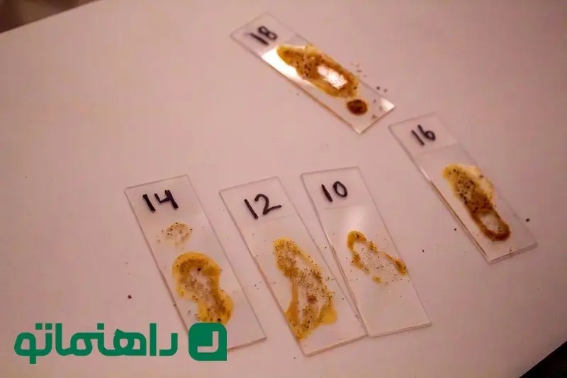 ترکیب علم و قهوه: تجربه‌ای نوین در MIT ///
