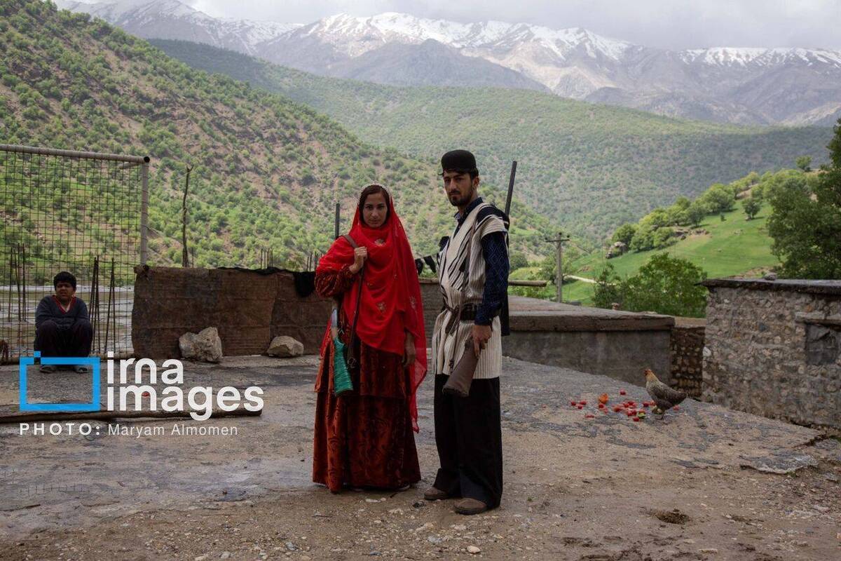 گالری