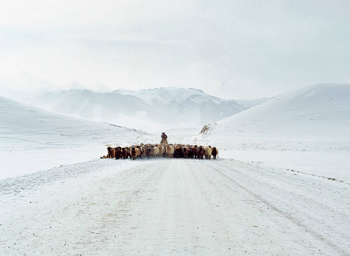 گالری